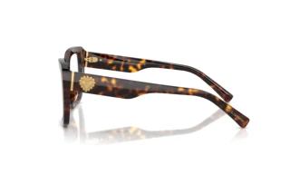 Sidevisning Dolce & Gabbana DG3441 (502)