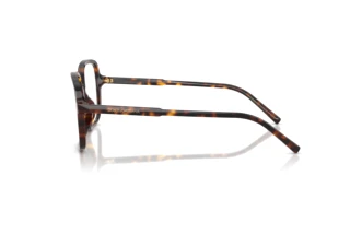 Sidevisning Dolce & Gabbana DG3442 (502)