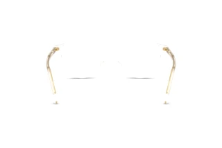 Bagside Dolce & Gabbana DG3443 (3133)