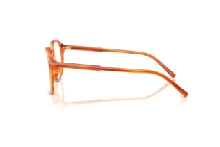 Sidevisning Dolce & Gabbana DG3444 (3483)