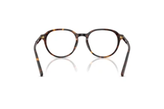 Bagside Dolce & Gabbana DG3444 (502)