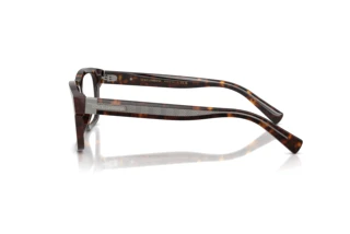 Sidevisning Dolce & Gabbana DG3446 (502)