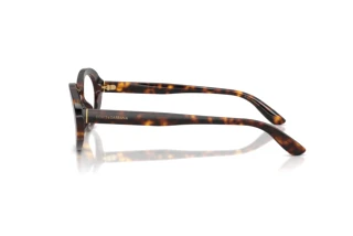 Sidevisning Dolce & Gabbana DG3450 (502)