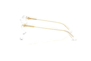 Sidevisning Dolce & Gabbana DG3451 (3133)