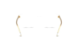 Bagside Dolce & Gabbana DG3451 (3133)