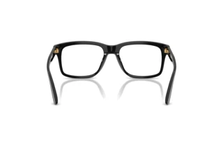 Bagside Dolce & Gabbana DG3453 (501)