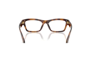 Bagside Dolce & Gabbana DG3454 (3497)