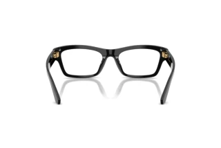 Bagside Dolce & Gabbana DG3454 (501)