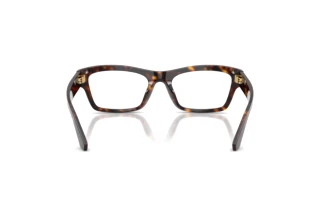 Bagside Dolce & Gabbana DG3454 (502)