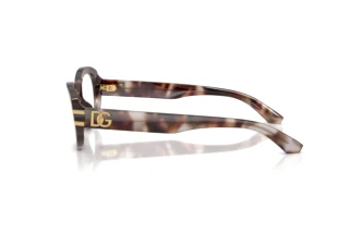 Sidevisning Dolce & Gabbana DG3455 (3498)