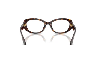 Bagside Dolce & Gabbana DG3455 (502)