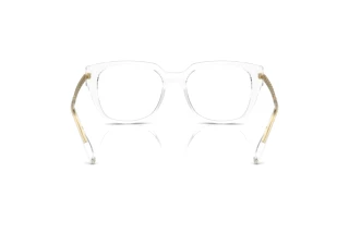 Bagside Dolce & Gabbana DG5087 (3133)