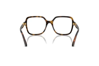 Bagside Dolce & Gabbana DG5105U (502)