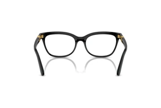 Bagside Dolce & Gabbana DG5106U (501)