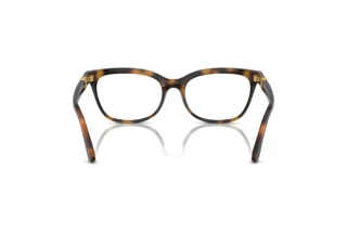 Bagside Dolce & Gabbana DG5106U (502)