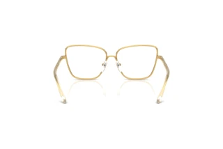 Bagside Dolce & Gabbana DX1102 (02)