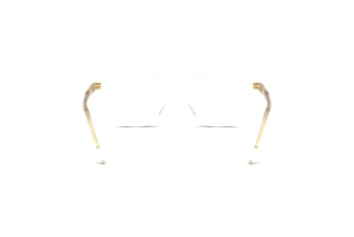 Bagside Dolce & Gabbana DX3002 (3133)