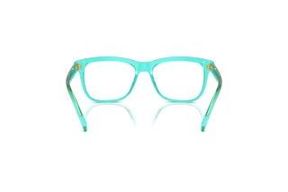 Bagside Dolce & Gabbana DX3356 (3322)