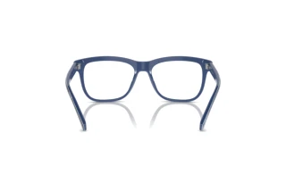 Bagside Dolce & Gabbana DX3356 (3402)