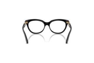Bagside Dolce & Gabbana DX5005U (501)
