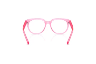 Bagside Dolce & Gabbana DX5007 (3148)