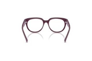 Bagside Dolce & Gabbana DX5007 (3360)