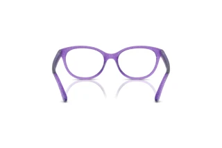 Bagside Dolce & Gabbana DX5096 (3353)