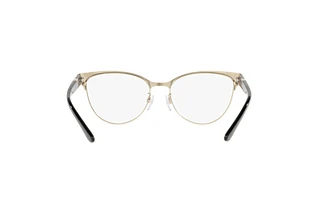 Bagside Emporio Armani EA1130 (3014)