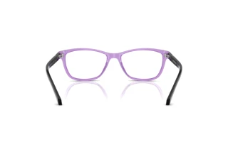 Bagside Emporio Armani EA3099 (6197)