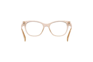 Bagside Emporio Armani EA3162 (5850)