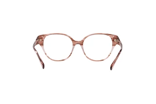 Bagside Emporio Armani EA3211 (5021)