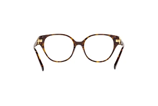 Bagside Emporio Armani EA3211 (5026)