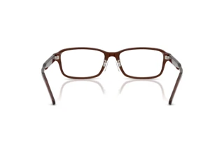 Bagside Emporio Armani EA3215D (5307)