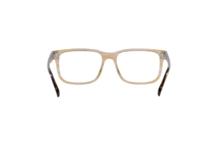 Bagside Emporio Armani EA3218 (5099)