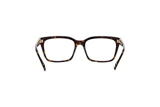 Bagside Emporio Armani EA3219 (5879)