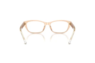 Bagside Emporio Armani EA3238U (6098)