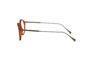Sidevisning Giorgio Armani AR7181 (5813)