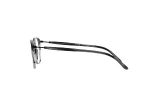 Sidevisning Giorgio Armani AR7213 (5877)