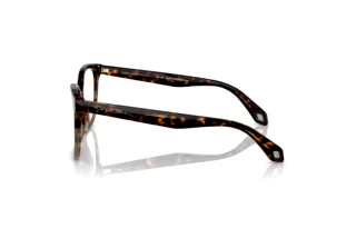 Sidevisning Giorgio Armani AR7246U (5879)