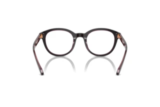 Bagside Giorgio Armani AR7256 (6088)