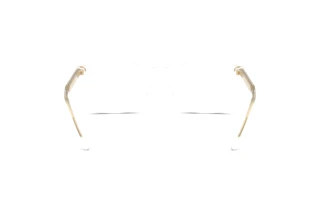 Bagside Giorgio Armani AR7258 (6075)