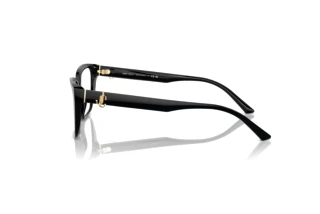 Sidevisning Jimmy Choo JC3008 (5000)