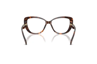 Bagside Michael Kors DERVIO (MK4163U - 4031)