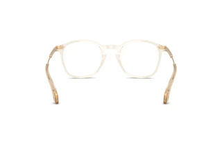 Bagside Moncler ME2017 (3003)