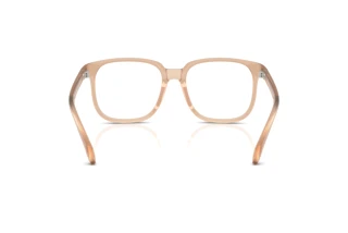 Bagside Moncler ME3003 (5011)