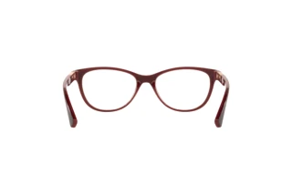 Bagside Oakley PLUNGELINE (OX8146 - 814604)