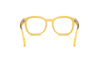 Bagside Persol PO0082V (204)