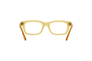 Bagside Persol PO3301V (204)