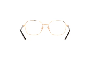 Bagside Prada PR 55YV (SVF1O1)