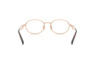 Bagside Prada PR D53VD (22L1O1)